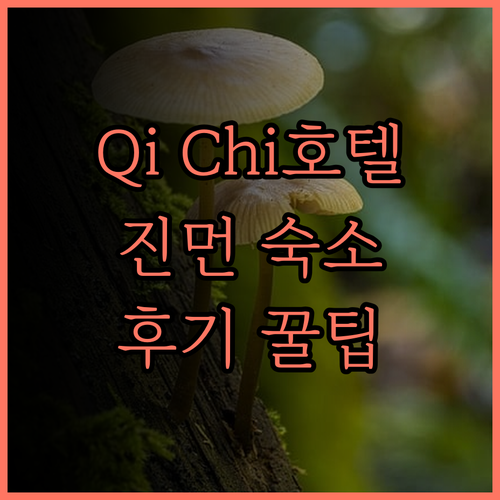 Qi Chi Homestay 생생 후