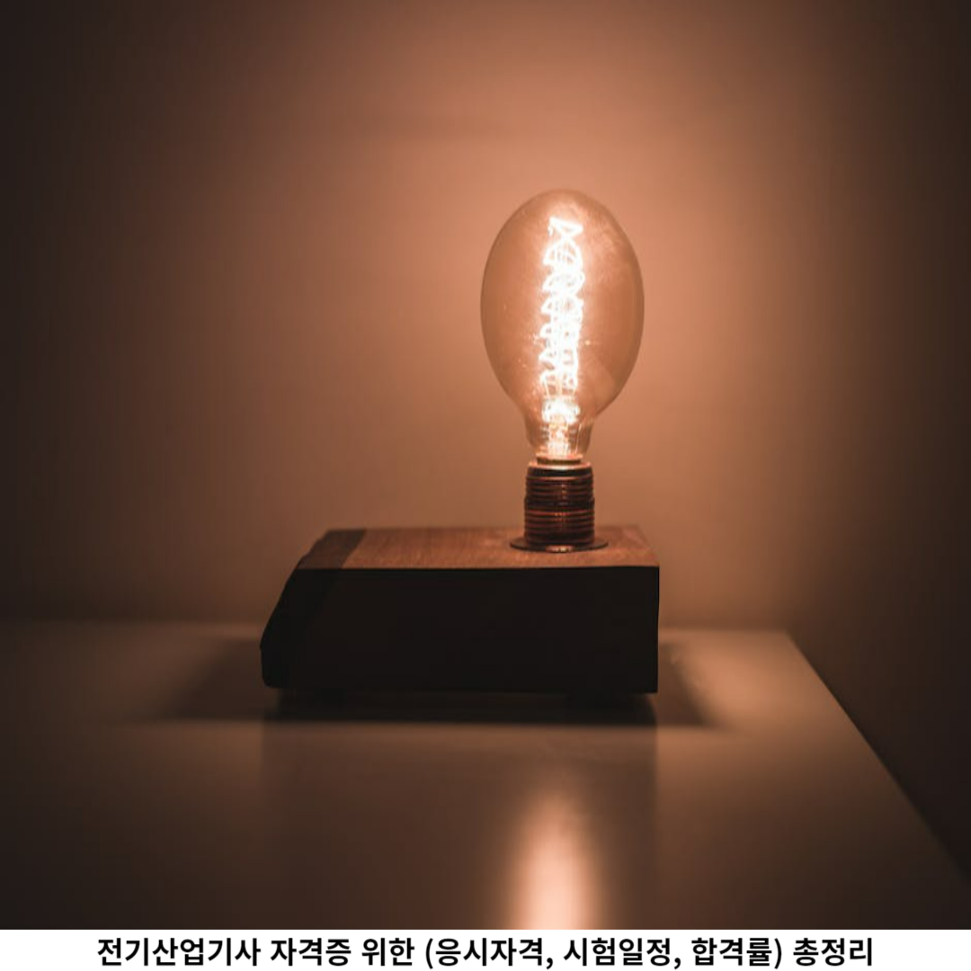 시험일정