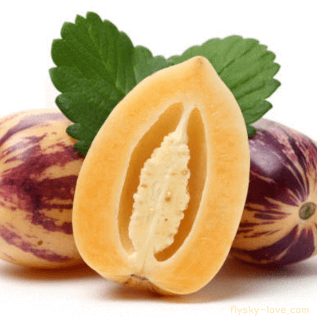 페피노 (Pepino) 효능