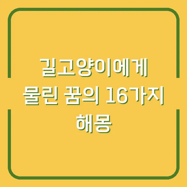 길고양이에게 물린 꿈의 16가지 해몽