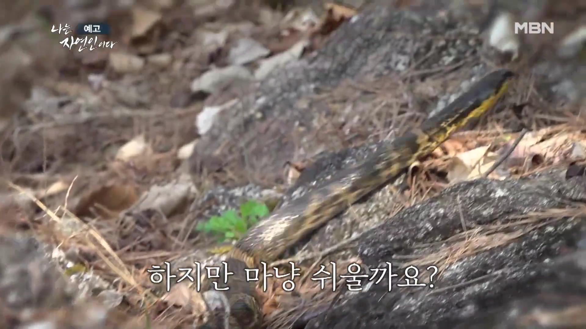 나는-자연인이다-이승윤