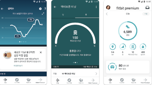Fitbit (핏빗)