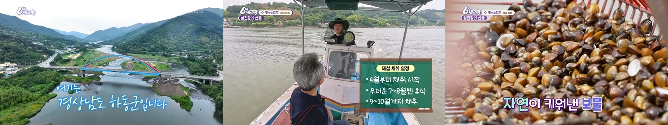 하동 재첩
