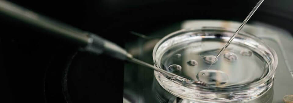 생식 기술의 혁신! 체외 생식세포 생성(IVG) 기술이 가져올 미래