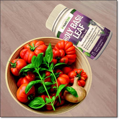 우르솔산 많은 음식