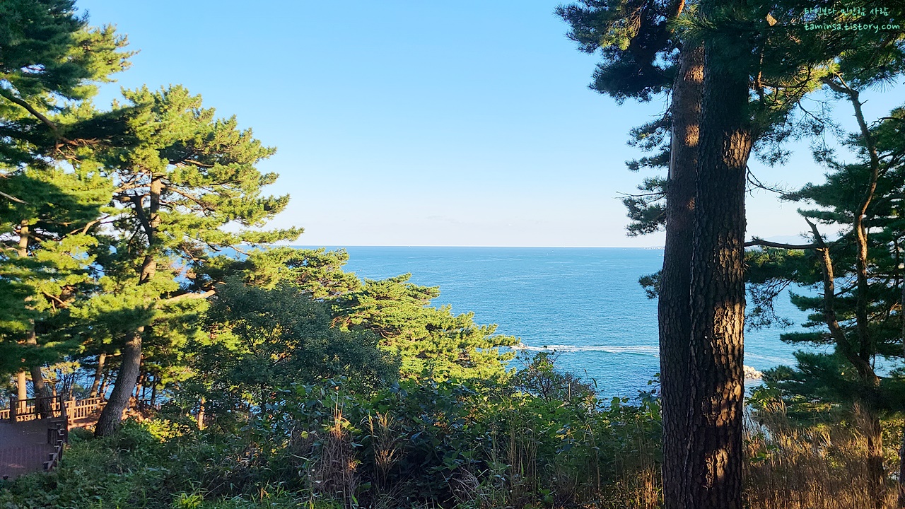 강원도여름휴가지