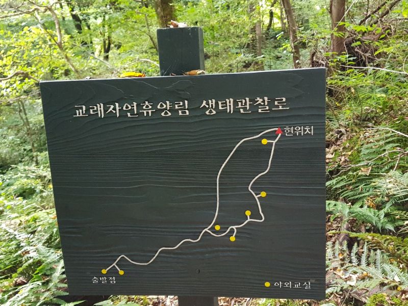 직접 찍은 제주 교래자연휴양림의 생태관찰로 안내판