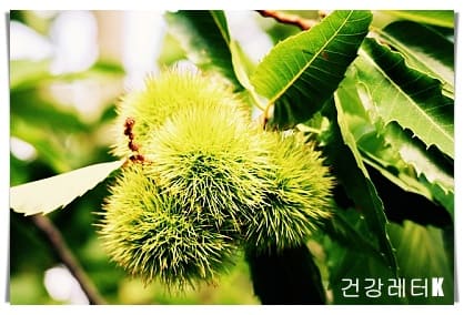 밤 6