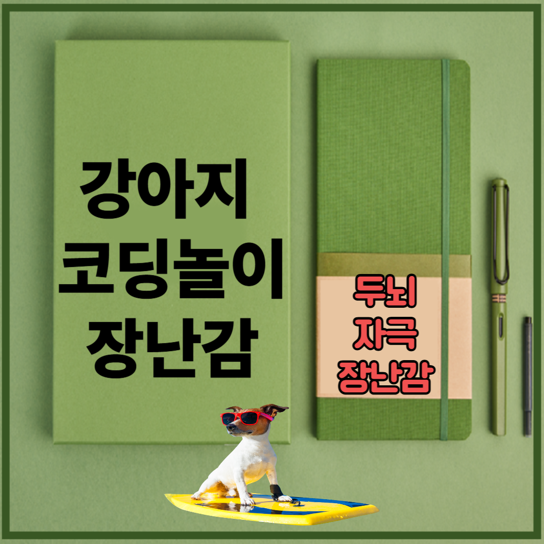 강아지 코딩 놀이 장난감