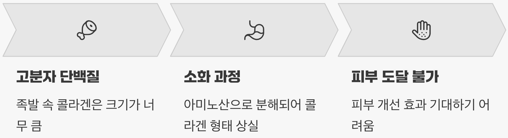 1. 거대한 단백질, 피부 문턱을 넘지 못하다
