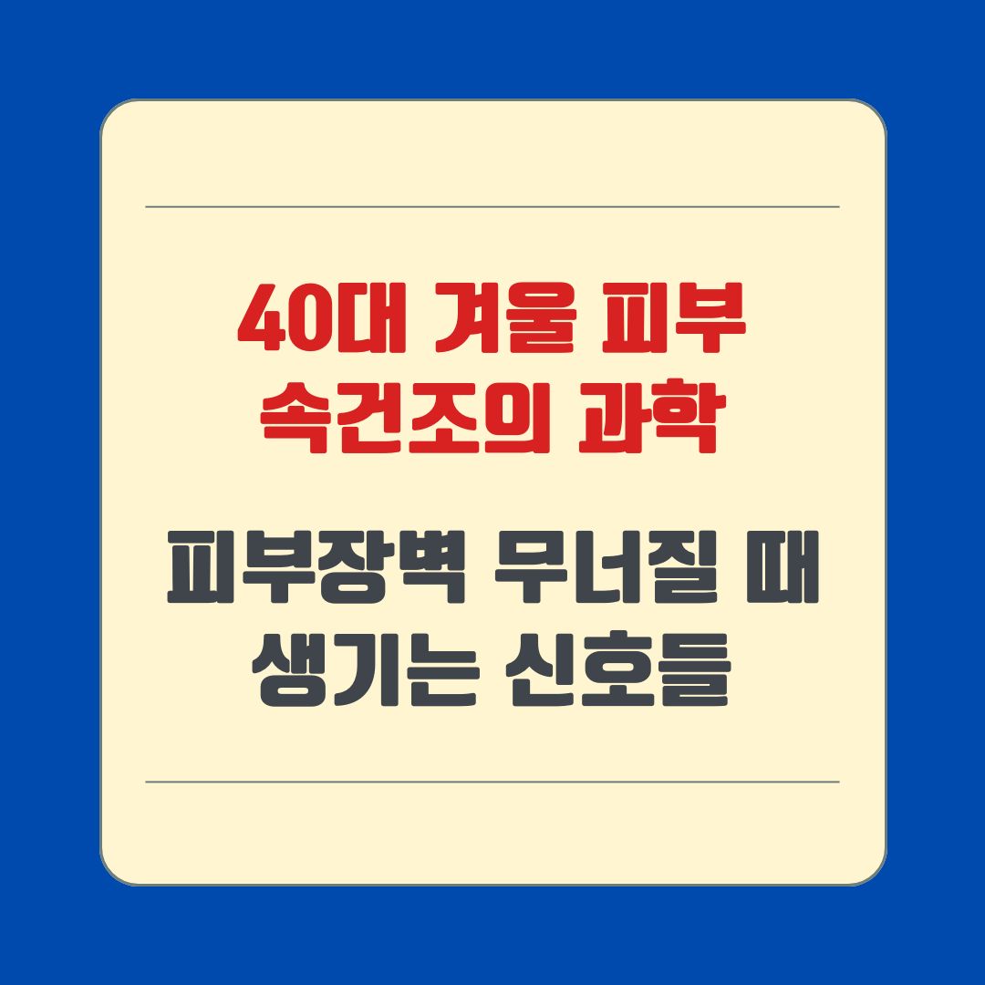 40대 겨울 피부 속건조의 과학 피부장벽 무너질 때 생기는 신호들
