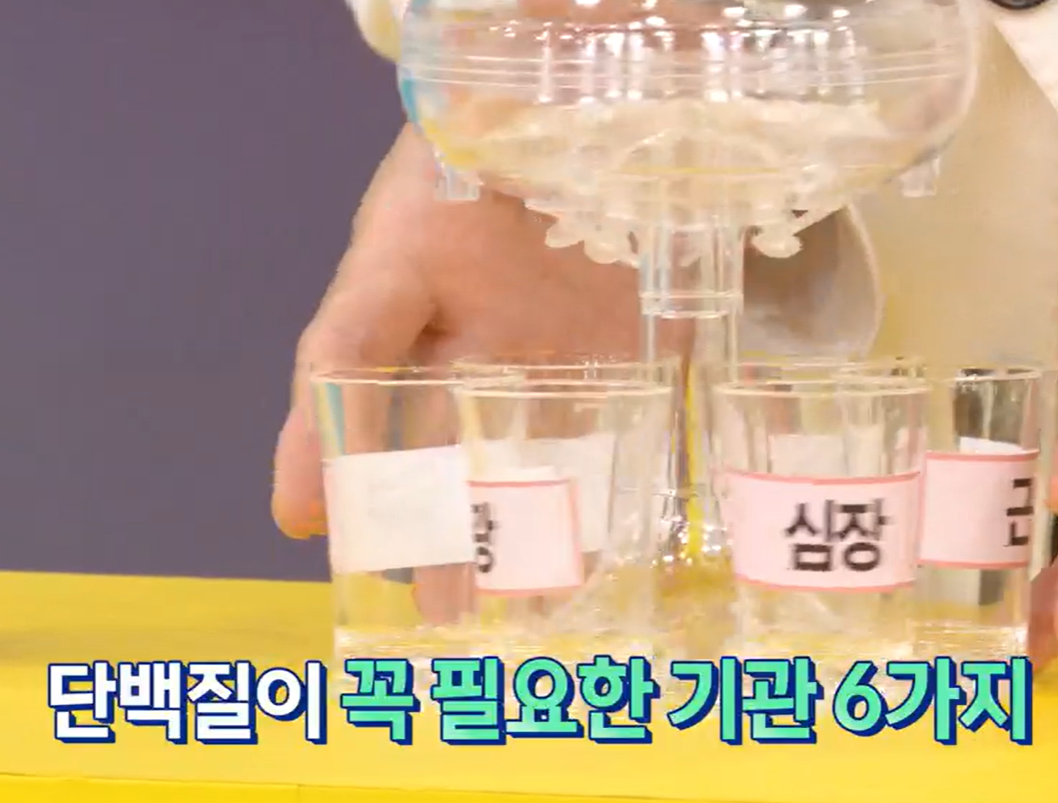 산양유 단백질 효능