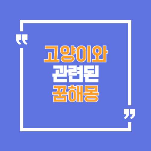 고양이와 관련된 꿈해몽