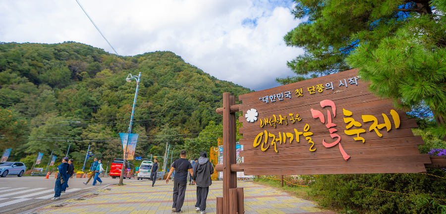 2026 인제가을꽃축제 일정