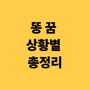똥 꿈 상황별 총정리