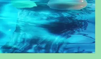 유럽풍 감성의 뮌스터담 수영장