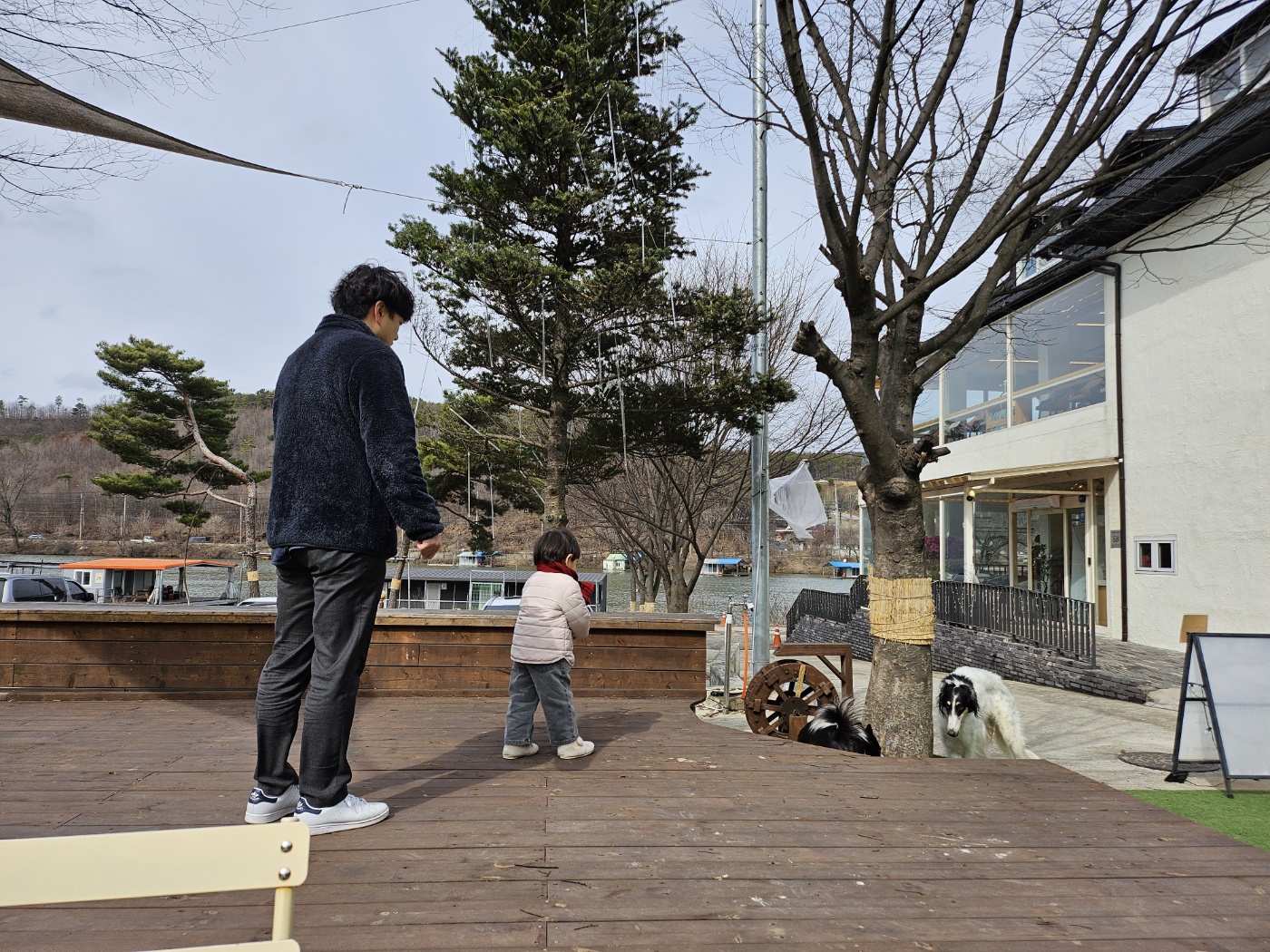 먹고나서 - 다시 뒤뜰