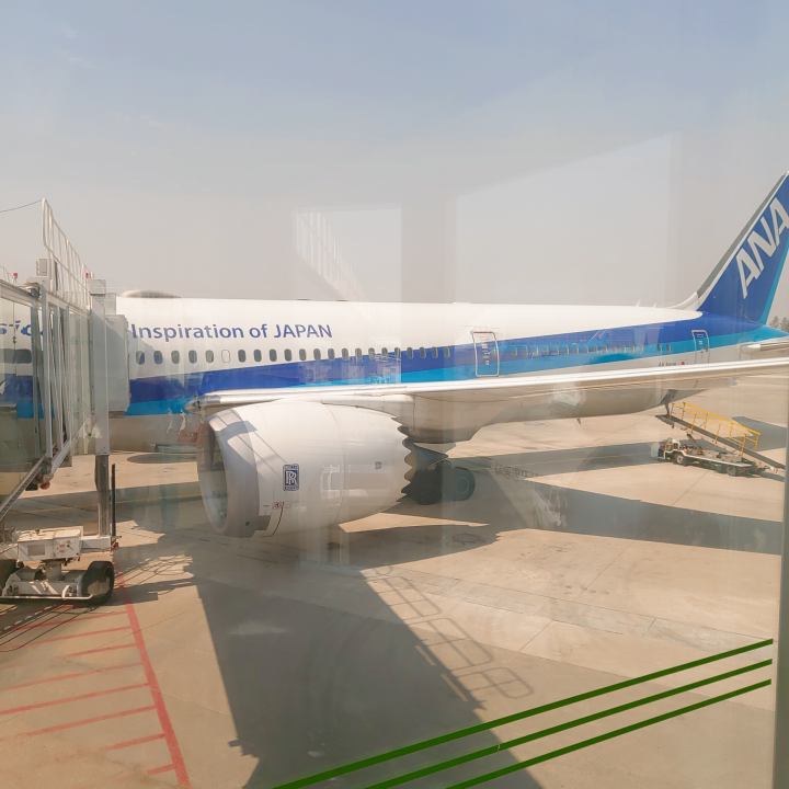 ANA항공이용후기