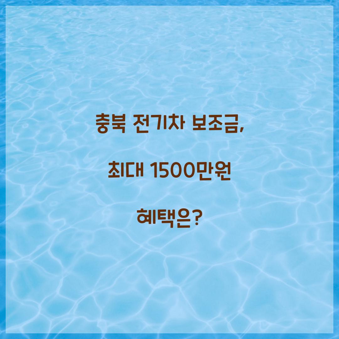 충북 전기차 보조금