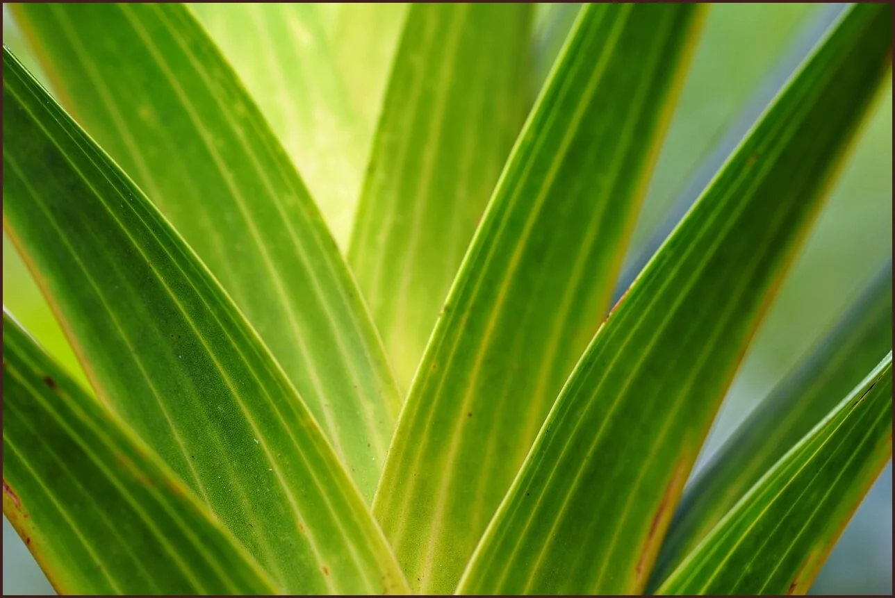 적금 이율 높은 은행