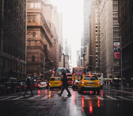 빗물 속 숨은 위협: 미세플라스틱과 도시 생태계