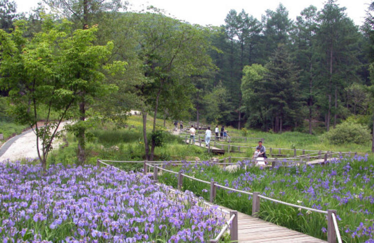 국립자연휴양림