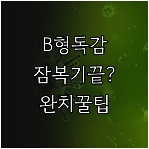 B형 독감 잠복기부터 완치까지 증상 ..