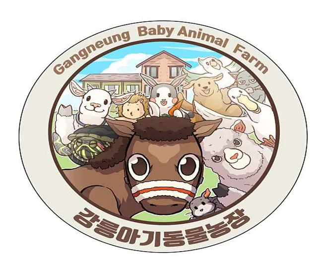 강릉아기동물농장