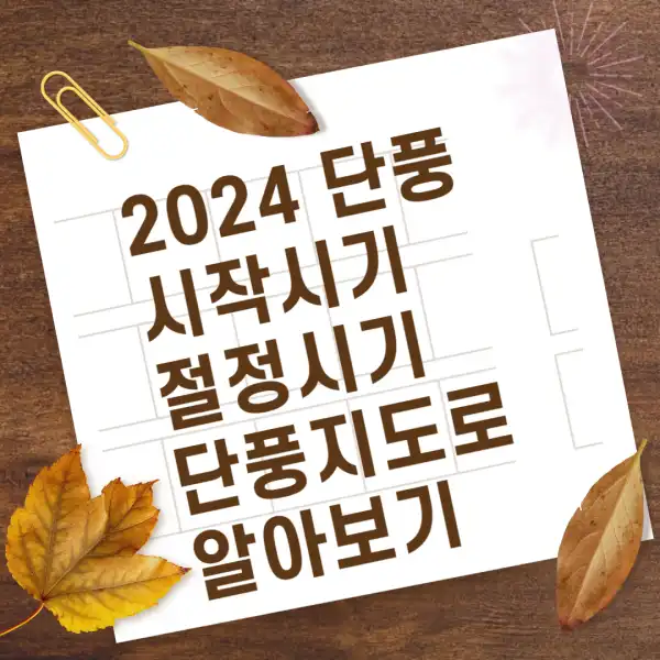 2024-단풍-시작시기-절정시기-단풍지도로-알아보기