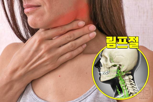 귀밑 턱 부음 원인 림프절염 귀밑 턱이 부었어요