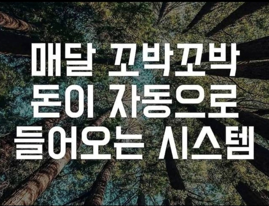 자동수익 모델 PG