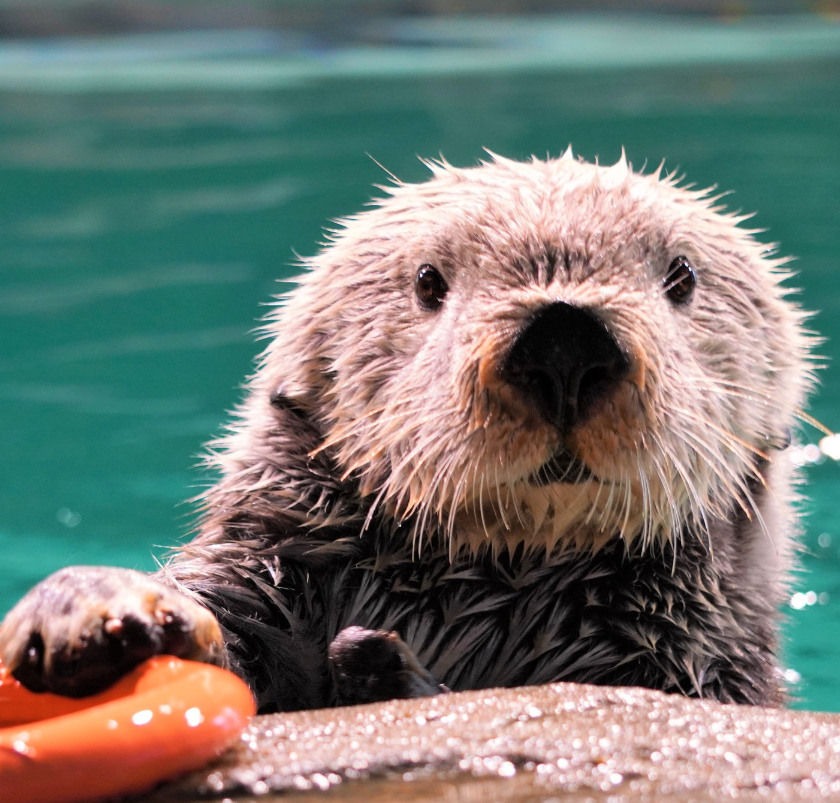 마린월드 우미노나카미치 02