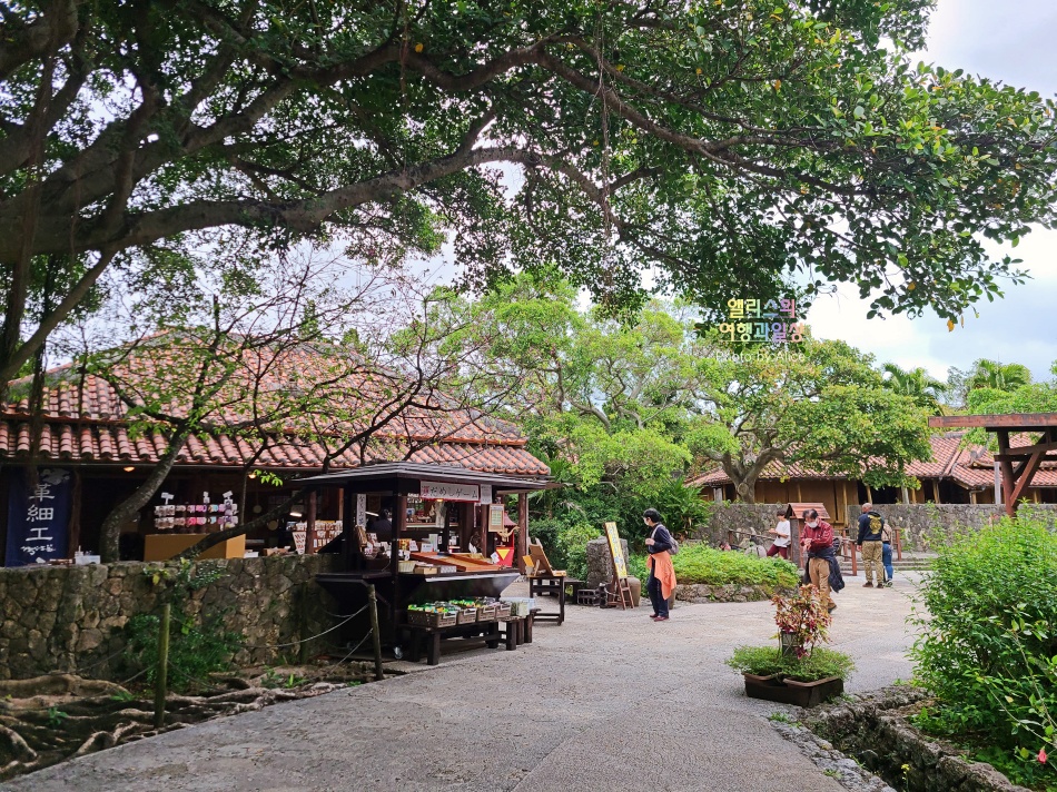 오키나와 남부 버스투어 솔직후기 가격 시간 오키나와 월드