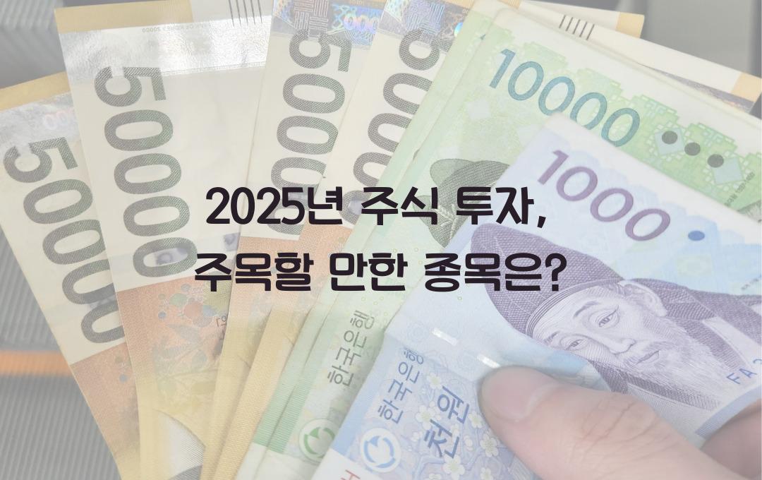 2025년 주식 투자, 어떤 종목을 사야 할까? (유망 주식 추천)