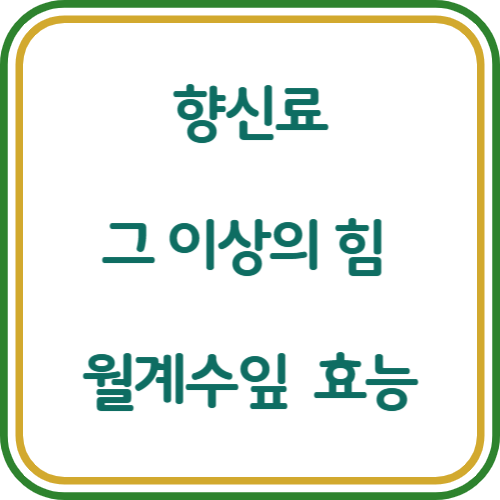 월계수잎 효능