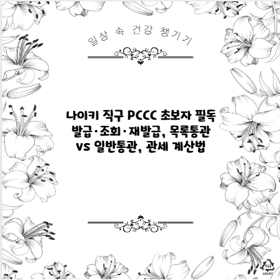 나이키 직구 PCCC 초보자 필독 발급·조회·재발급, 목록통관 vs 일반통관, 관세 계산법