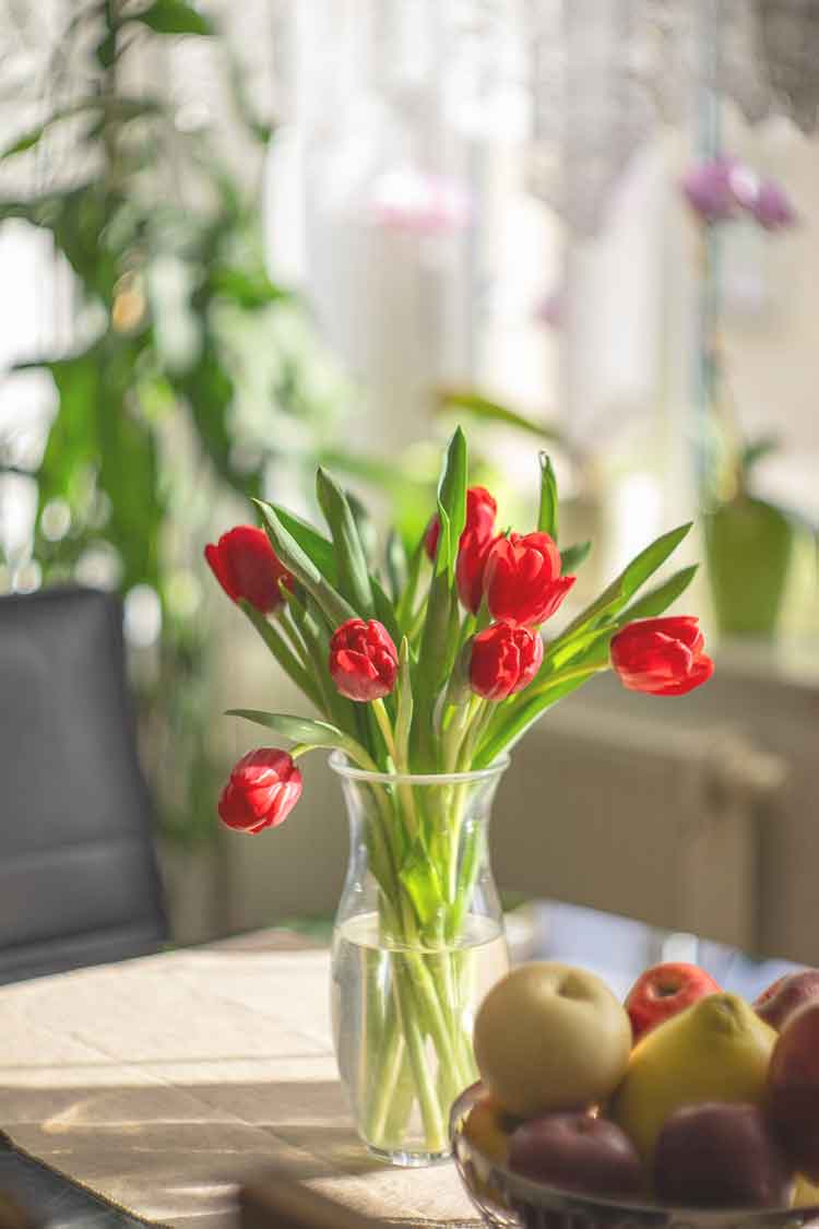 빨간-튤립이-꽂힌-꽃병