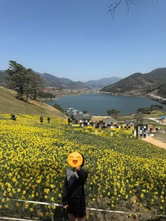 구례 가볼만한곳 베스트10 섬진강 벚꽃길 사성암 드라이브_11