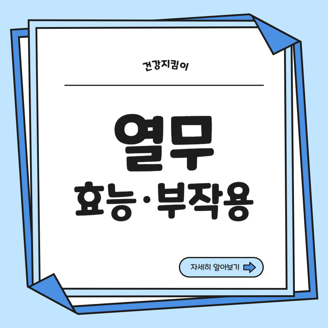 열무 효능 부작용 고르는법 칼로리