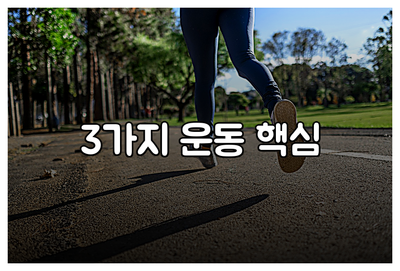 3가지 운동 핵심