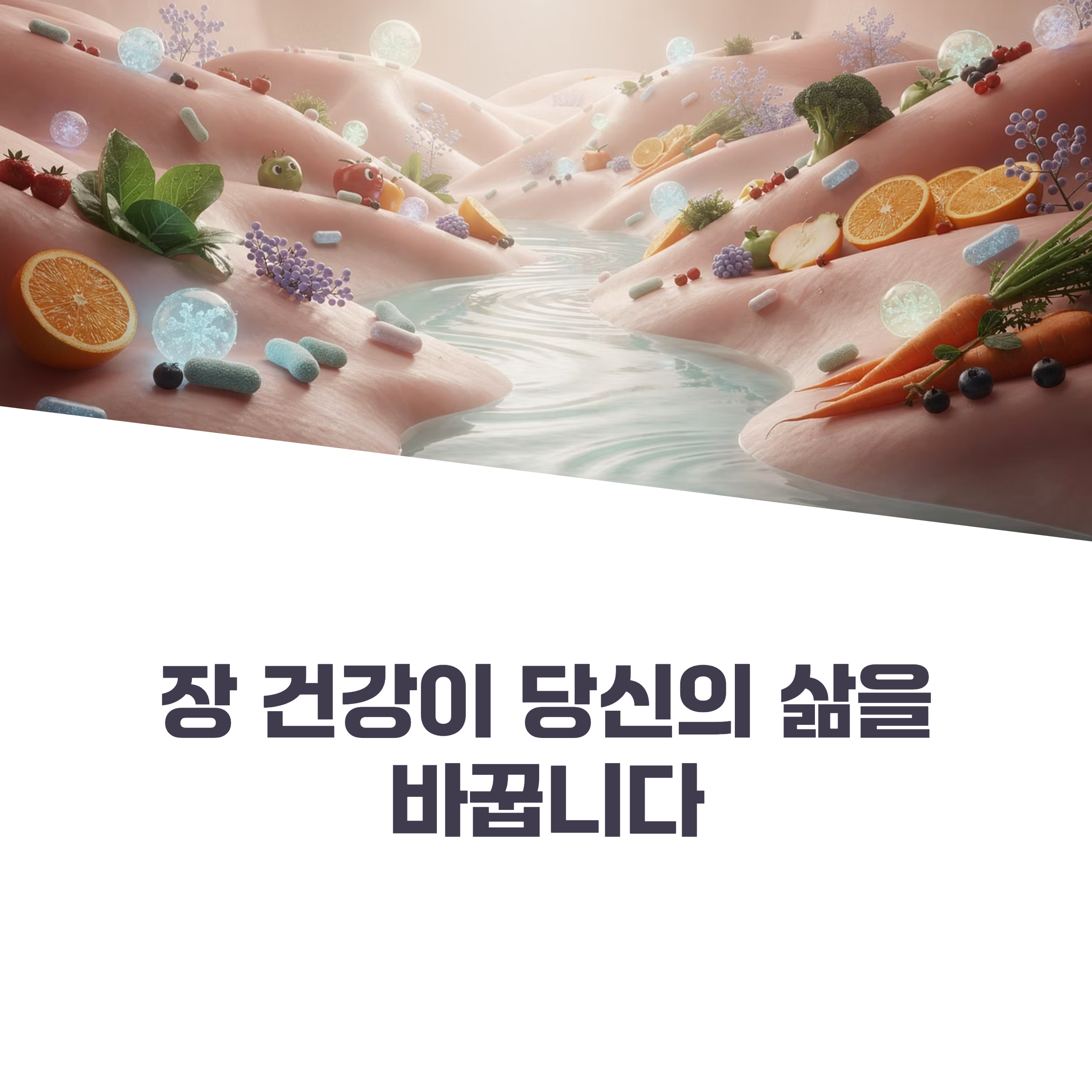 장 건강 개선 방법