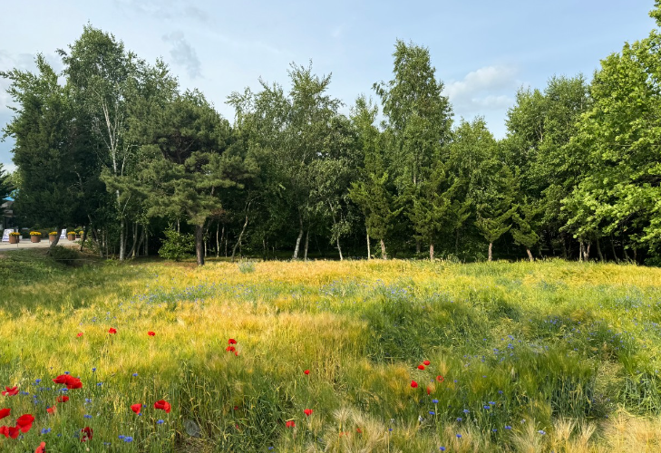 수원탑동시민농장5