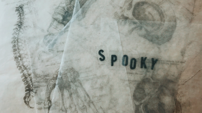 Basics of Human Anatomy and Physiology 2