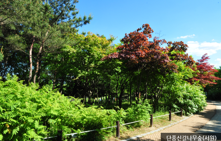 한밭수목원 명소 10선8