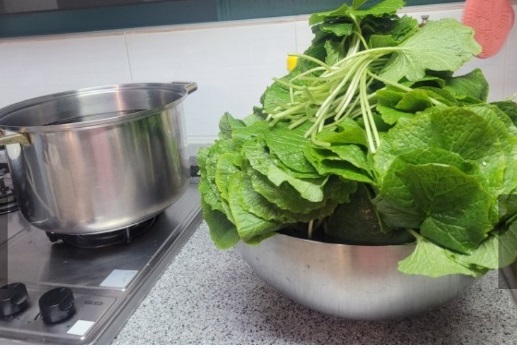 철원-고추냉이-정가농원-고추냉이잎