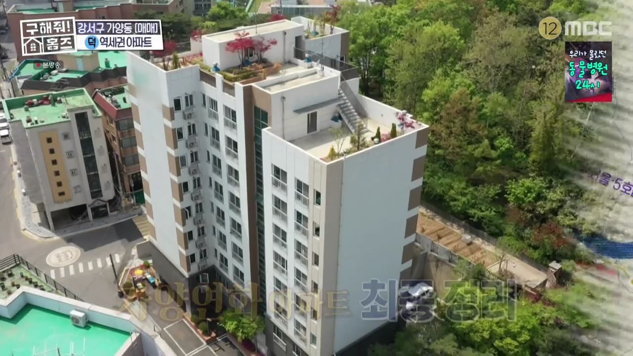 구해줘홈즈 서울 국제부부 광화문역 대중교통 40분 이내 매매 8억원대 정동원 지숙 외인구단 사당의베란다 용효삼방 아파트 정동당당 가양연화 사랑의북센타 소개