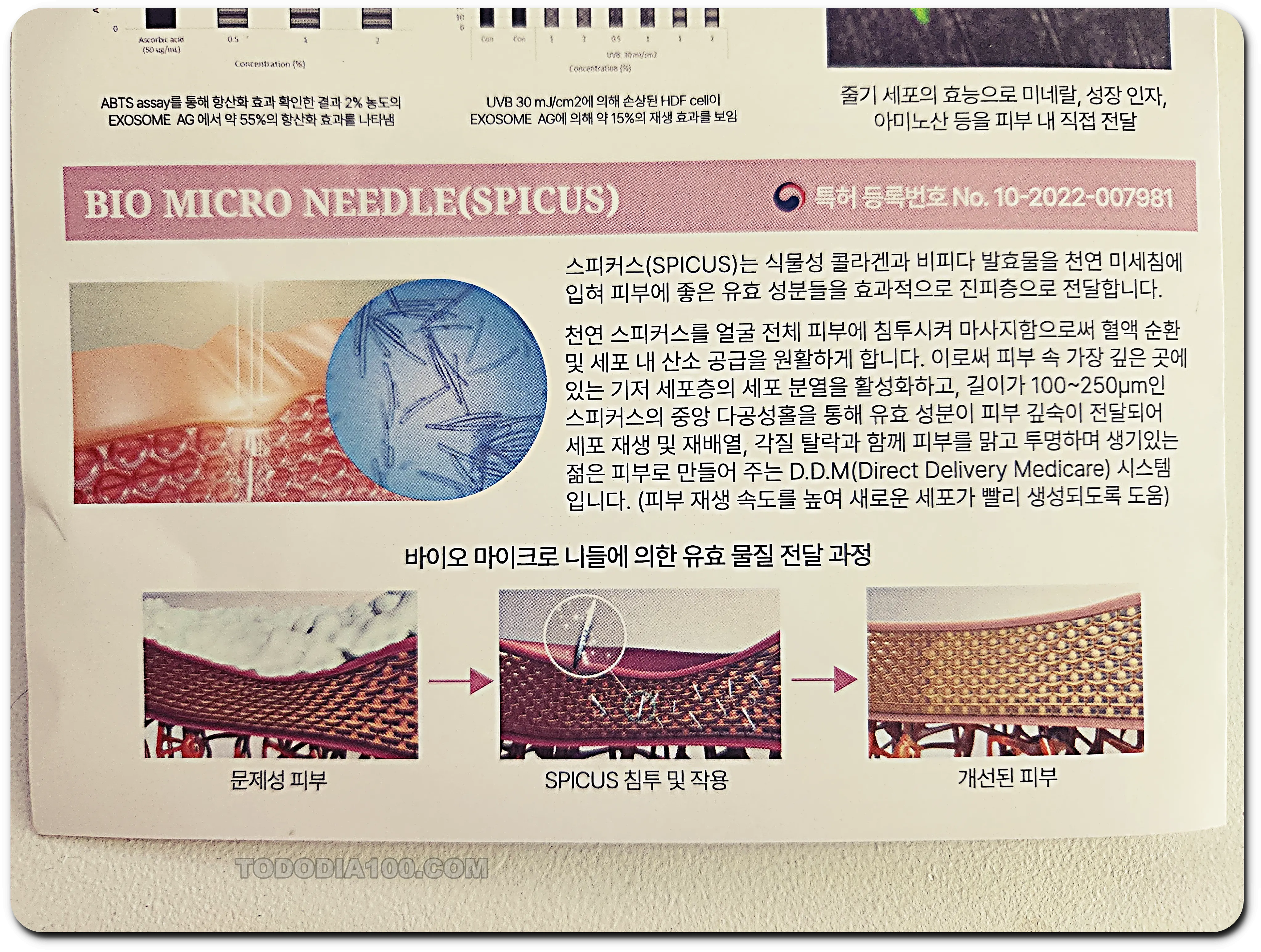 마이크로 니들 egf