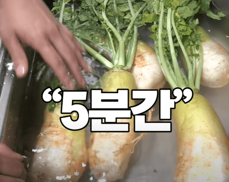 무 씩어주는 방법