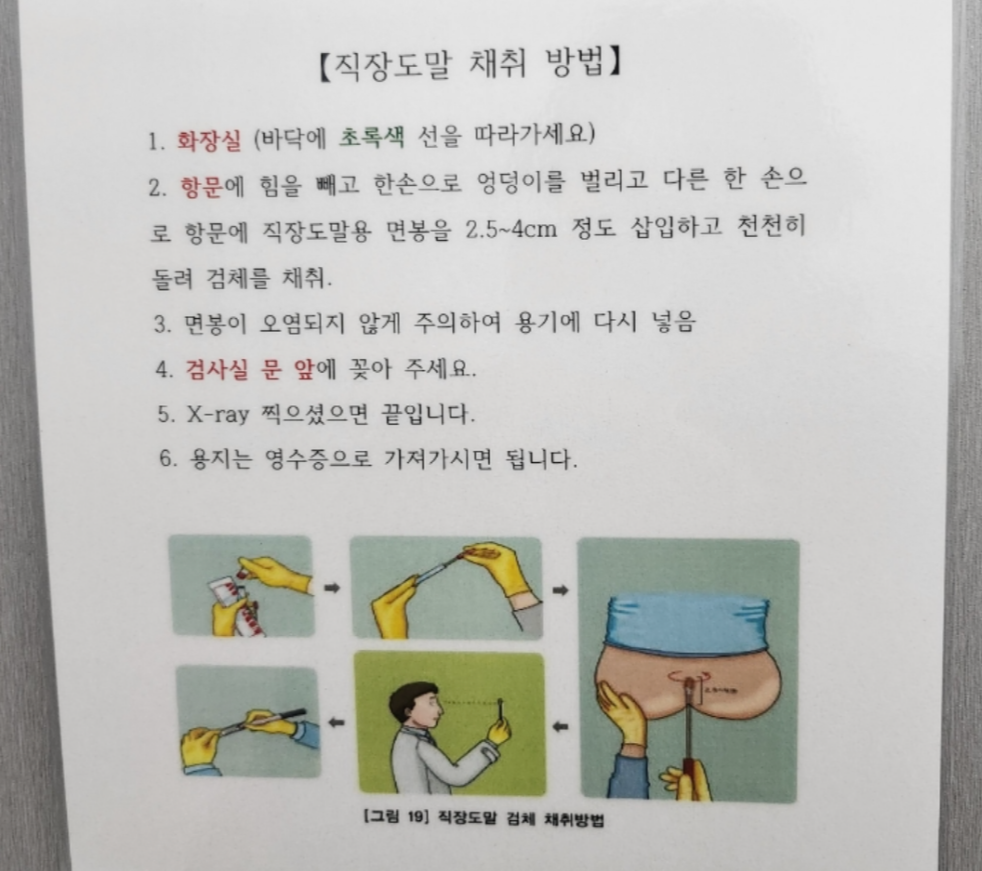 보건증 검진