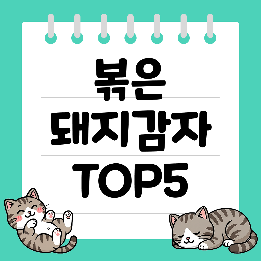 혈당 조절에 좋은 건강차, 볶은 돼지감자 추천 순위 TOP5